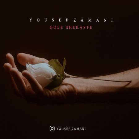 Yousef Zamani – Gole Shekaste